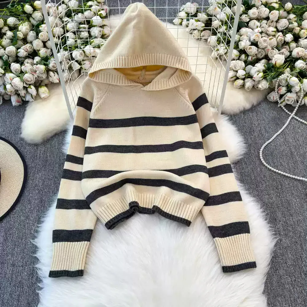 Color Blocking Striped Hooded Sweater