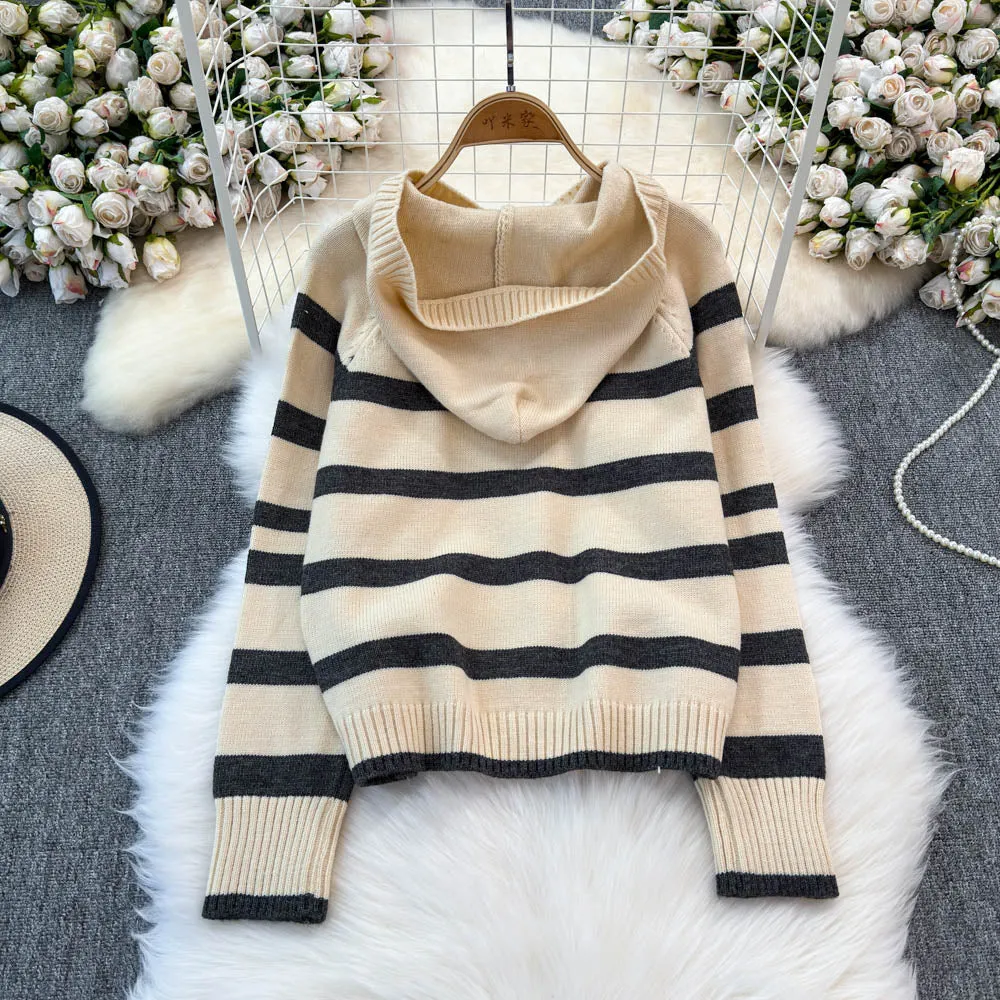 Color Blocking Striped Hooded Sweater