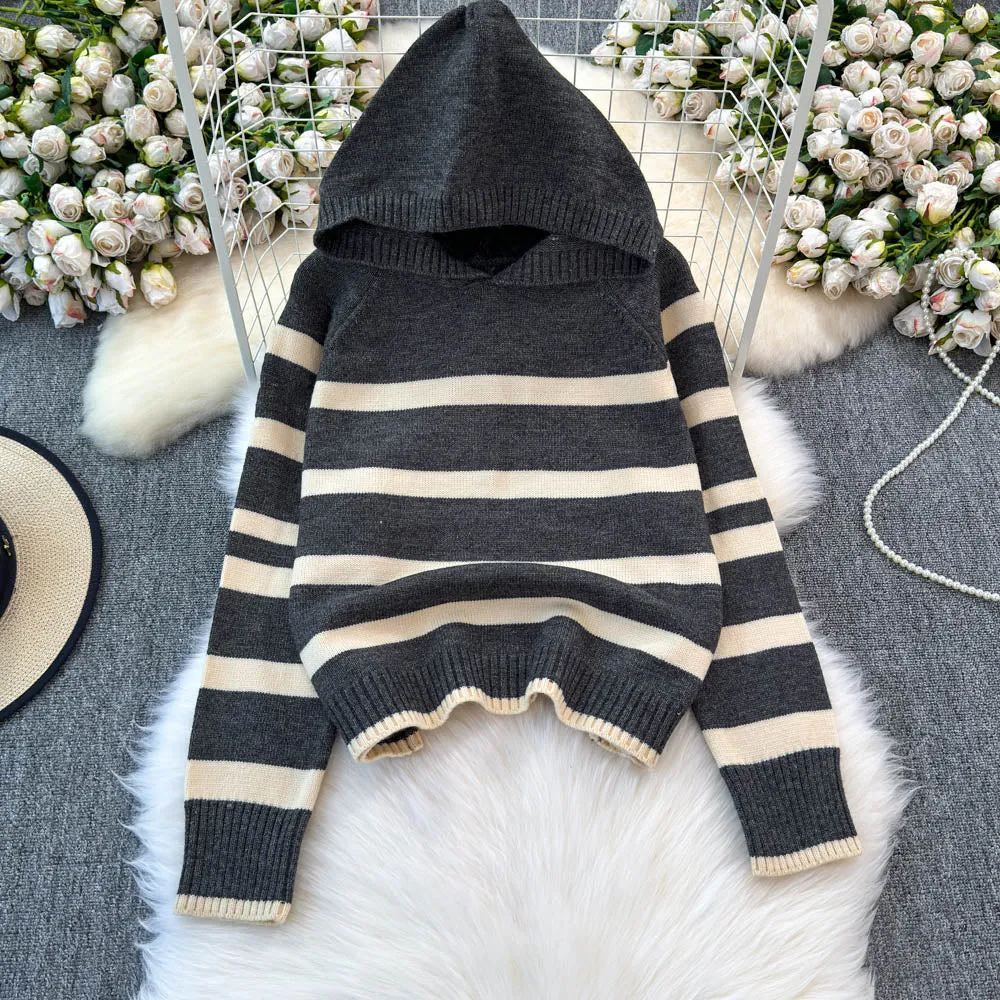 Color Blocking Striped Hooded Sweater